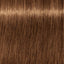 Schwarzkopf IGORA Royal 7-55 Mittelblond Gold Extra – Haarfarbmuster