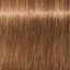 Schwarzkopf IGORA Royal 7-65 Mittelblond Schoko Gold – Haarfarbmuster