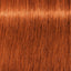 Schwarzkopf IGORA Royal 7-77 Mittelblond Kupfer Extra – Haarfarbmuster