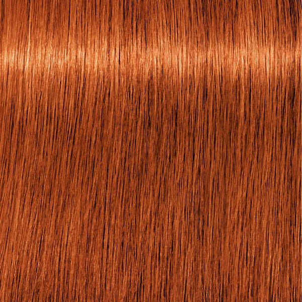 Schwarzkopf IGORA Royal 7-77 Mittelblond Kupfer Extra – Haarfarbmuster
