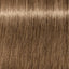 Schwarzkopf IGORA Royal 8 - 00 Hellblond Natur Extra – Haarfarbmuster