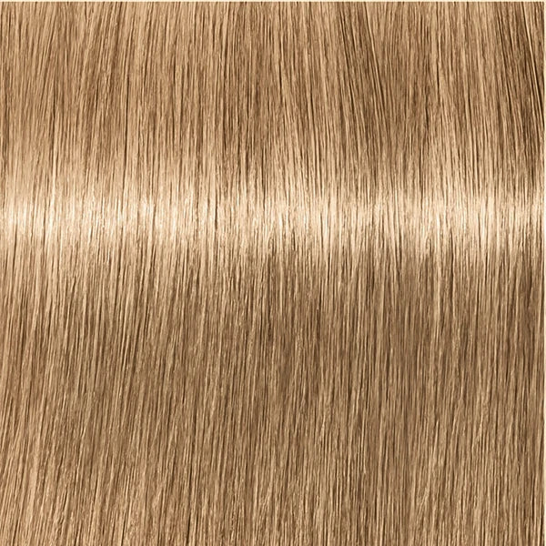 Schwarzkopf IGORA Royal 8-4 Hellblond Beige – Haarfarbmuster