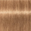 Schwarzkopf IGORA Royal 8-65 Hellblond Schoko Gold – Haarfarbmuster
