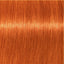 Schwarzkopf IGORA Royal 8-77 Hellblond Kupfer Extra – Haarfarbmuster