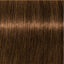 Schwarzkopf IGORA Royal Absolutes 6-50 Dunkelblond Gold Natur – Haarfarbmuster