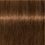 Schwarzkopf IGORA Royal Absolutes 6-60 Dunkelblond Schoko Natur – Haarfarbmuster