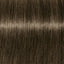 Schwarzkopf IGORA Royal Absolutes 7-10 Mittelblond Cendré Natur – Haarfarbmuster