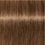 Schwarzkopf IGORA Royal Absolutes 7-50 Mittelblond Gold Natur – Haarfarbmuster