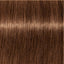 Schwarzkopf IGORA Royal Absolutes 7-60 Mittelblond Schoko Natur – Haarfarbmuster