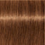 Schwarzkopf IGORA Royal Absolutes 8-60 Hellblond Schoko Natur – Haarfarbmuster