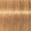 Schwarzkopf IGORA Royal Absolutes 9-50 Extra Hellblond Gold Natur – Haarfarbmuster