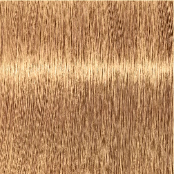 Schwarzkopf IGORA Royal Absolutes 9-50 Extra Hellblond Gold Natur – Haarfarbmuster