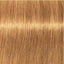 Schwarzkopf IGORA Royal Absolutes 9-60 Extra Hellblond Schoko Natur – Haarfarbmuster