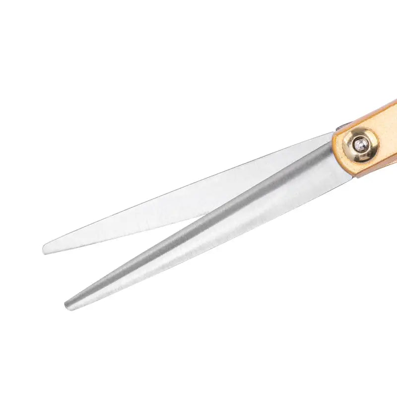 Snippex Friseurschere 6.0 gold - Friseurschere