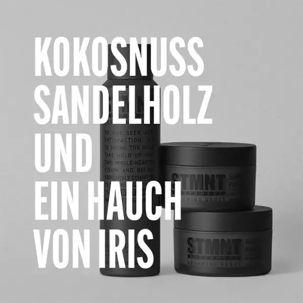 STMNT Shine Paste - Haargel