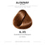 Alfaparf Milano Evolution of the Color Warm Browns 6.35 Dunkelblond Gold Mahagoni PF005955