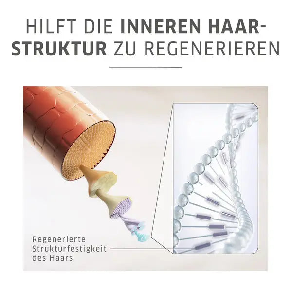 Diagram der Haarstrukturregeneration für WELLA Color Motion Structure Maske