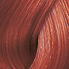 Wella Color Touch 6/4 – Original-Haarfarbmuster