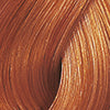 Wella Color Touch 8/43 – Original-Haarfarbmuster