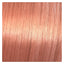 Wella Shinefinity 08/34 Spicy Ginger / Hellblond Gold-Rot – Original-Haarfarbmuster